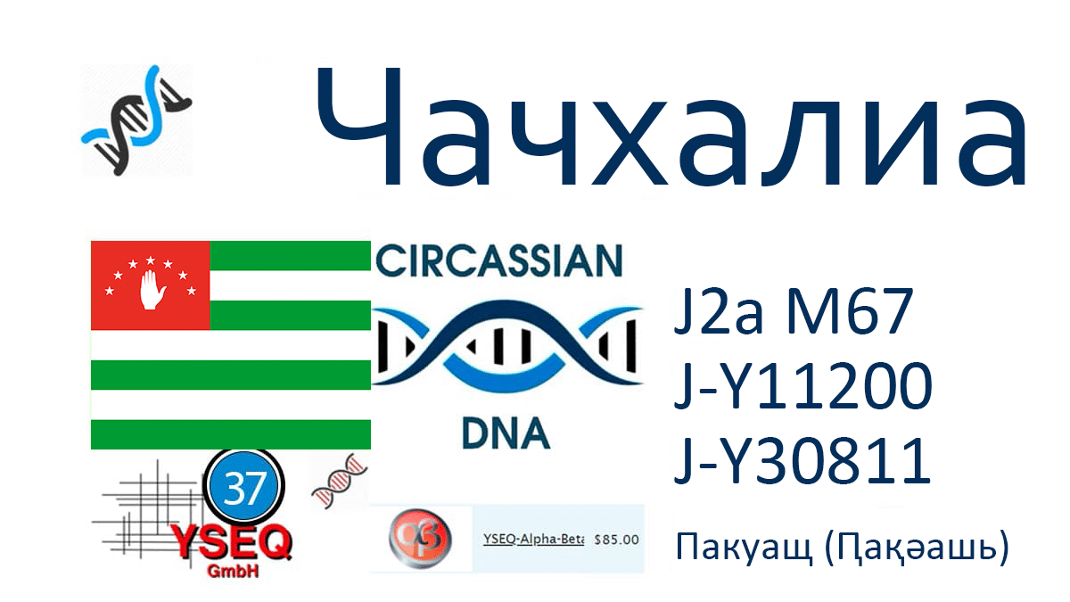 kazanov 3