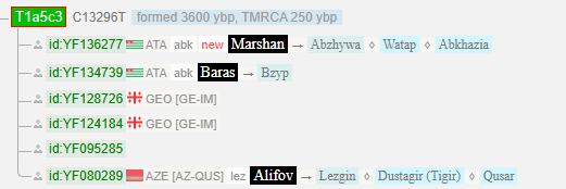 Чамагуа 9 image 73