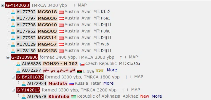 Хинтуба 6 image 17
