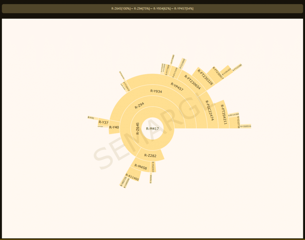 opera snimok 2024 10 10 185828 predictor.ddns .net