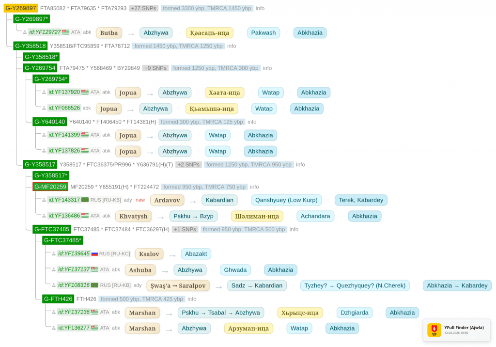 yfull annotation 20260312t155608