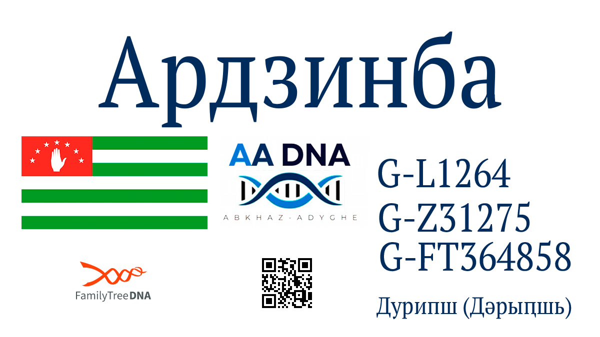 s.ardzinba
