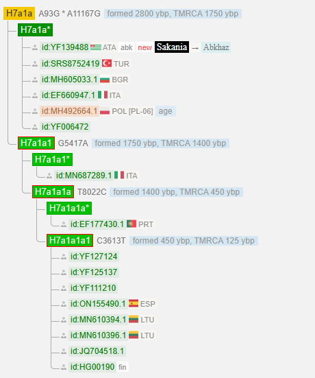 Саканиа 8 image 2
