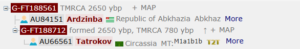 Ардзинба 8 image 3