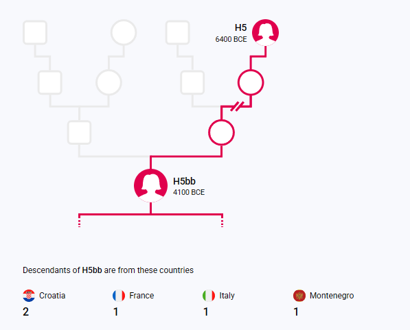 opera snimok 2026 02 06 132338 discover.familytreedna.com