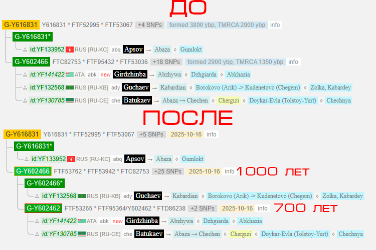 Гирджинба 4 screenshot 9