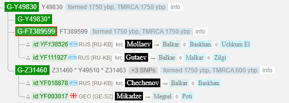 Гарцкия 10 image 10