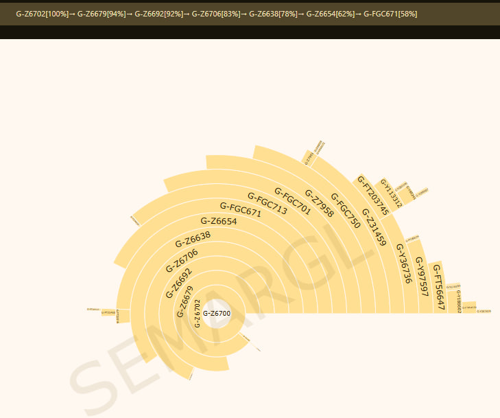 Гарцкия 13 image 12