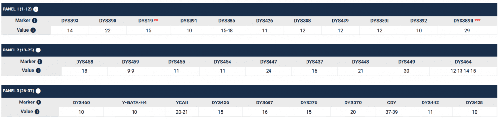 Гарцкия 11 image 3