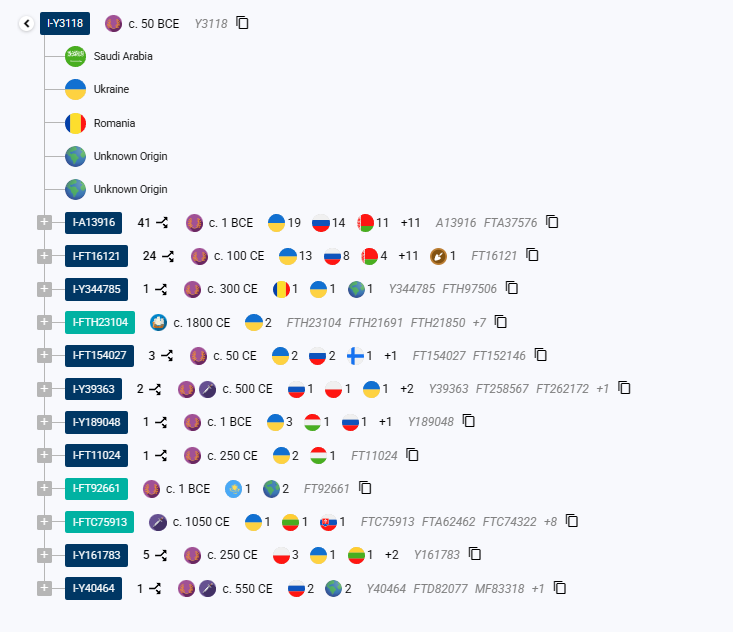 opera snimok 2026 01 13 171106 discover.familytreedna.com