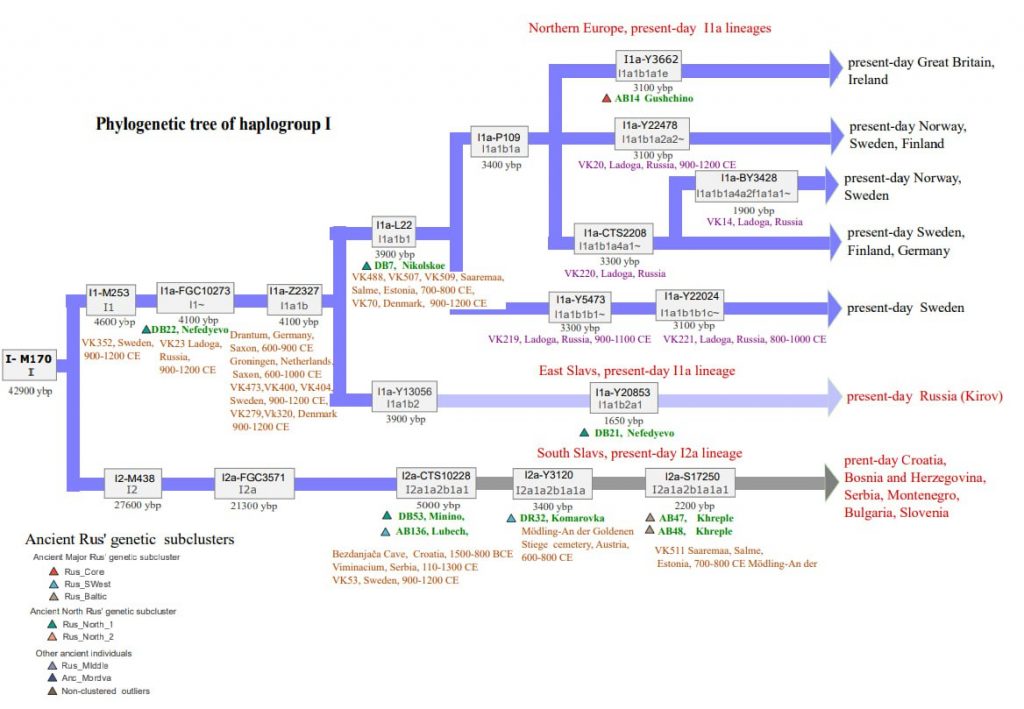 photo 2026 01 13 17 11 19