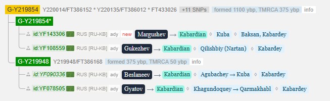 Маргушев 6 g y219854