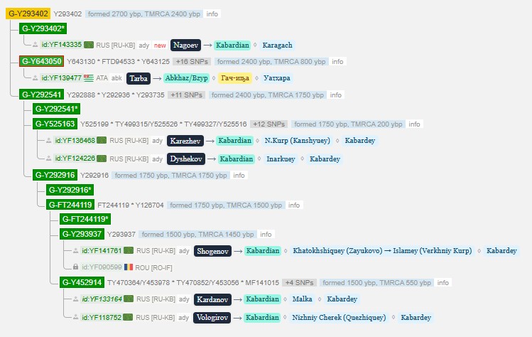 Нагоев 3 g y293402