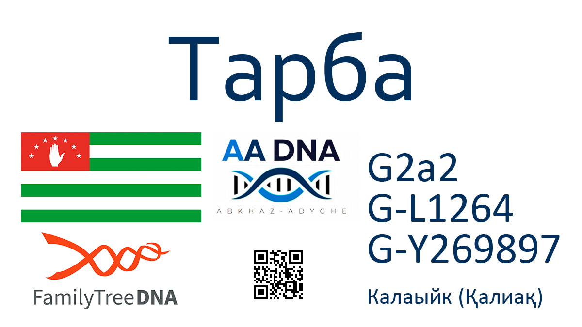 Тарба 1 kazanov 8