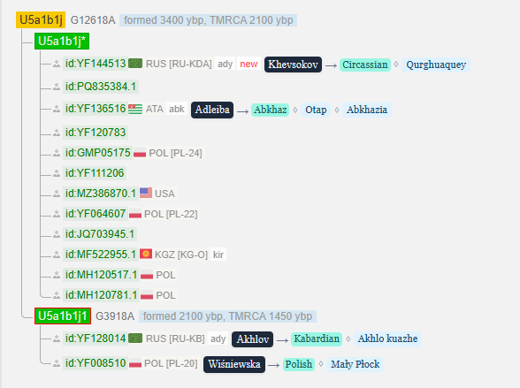 opera snimok 2026 02 15 201149 www.yfull .com