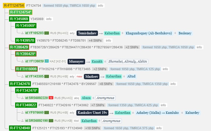 Мазлоев 3 r ft124754