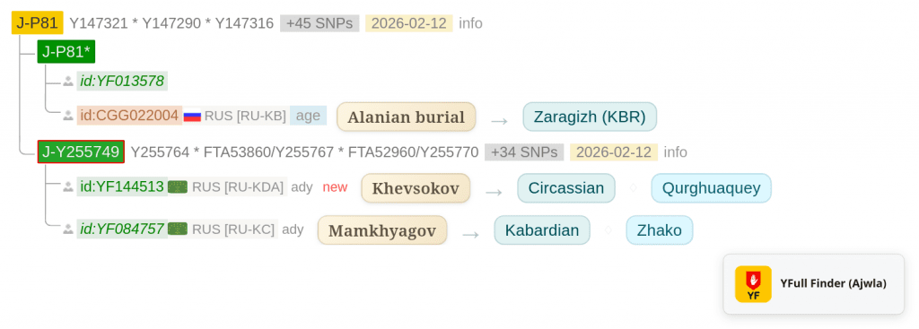 yfull selection 20260219t133828