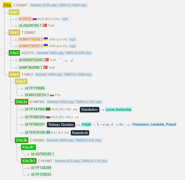 Маржохов 8 opera snimok 2026 03 16 133536 www.yfull .com