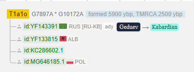 Гедуев 7 opera snimok 2026 03 30 200020 www.yfull .com