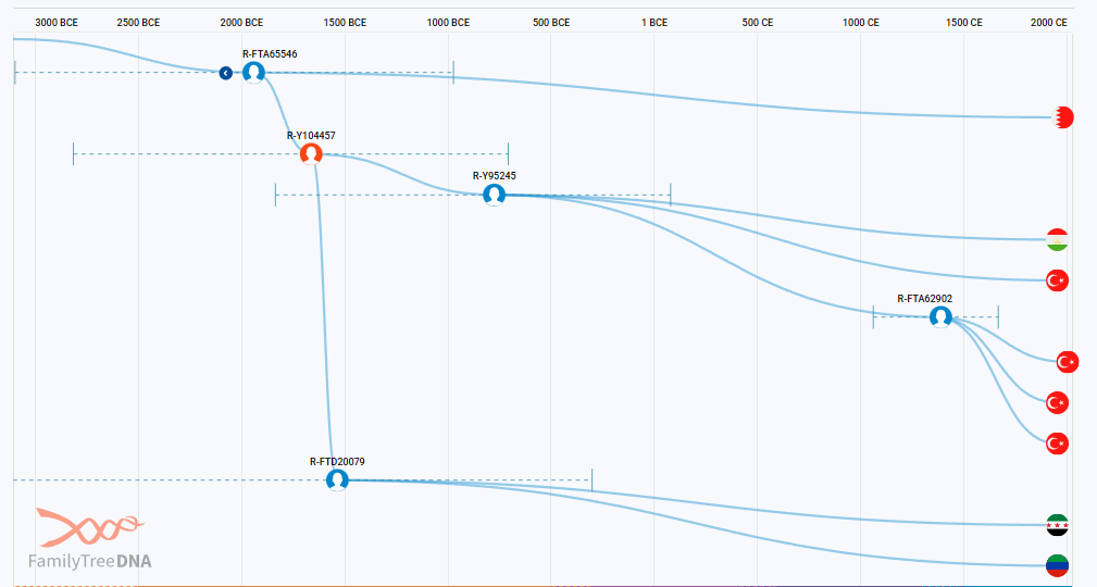 opera snimok 2026 04 03 204824 discover.familytreedna.com