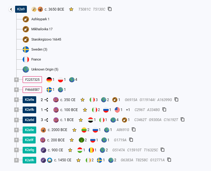 opera snimok 2026 04 10 203218 discover.familytreedna.com